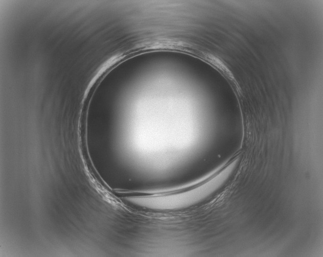 X0000054391138200508191932