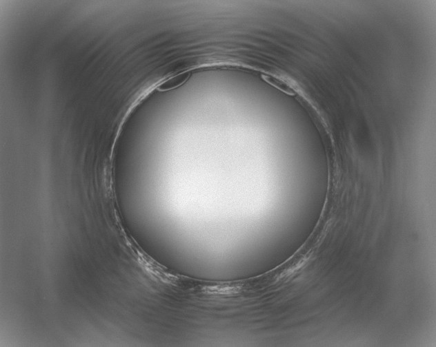 X0000054391145200508191932
