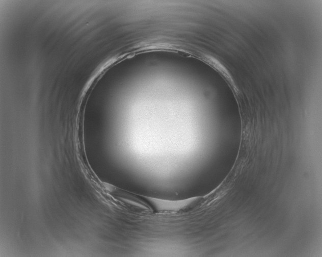 X0000054391146200508191932