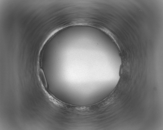 X0000054391147200508191932