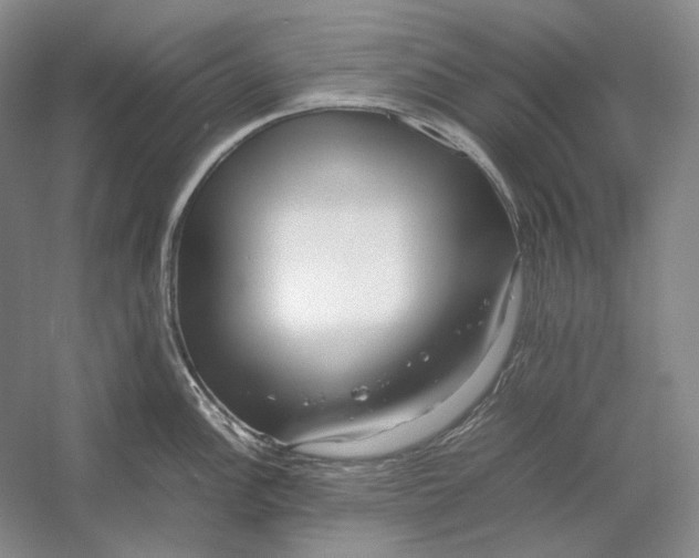 X0000054391148200508191932