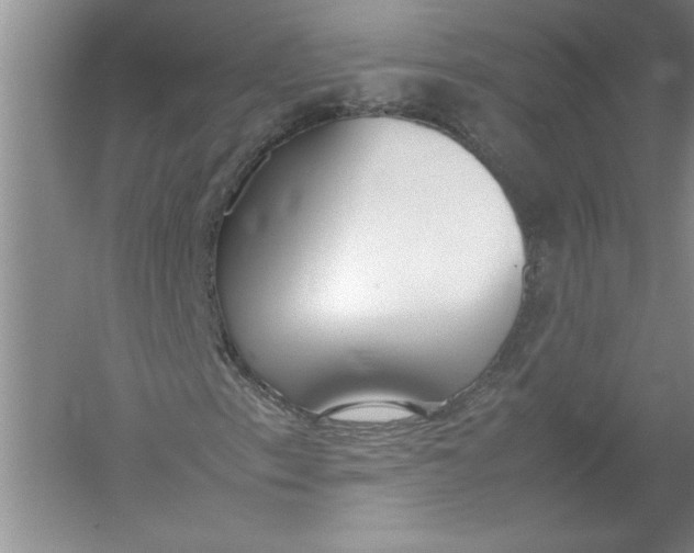 X0000054391153200508191931