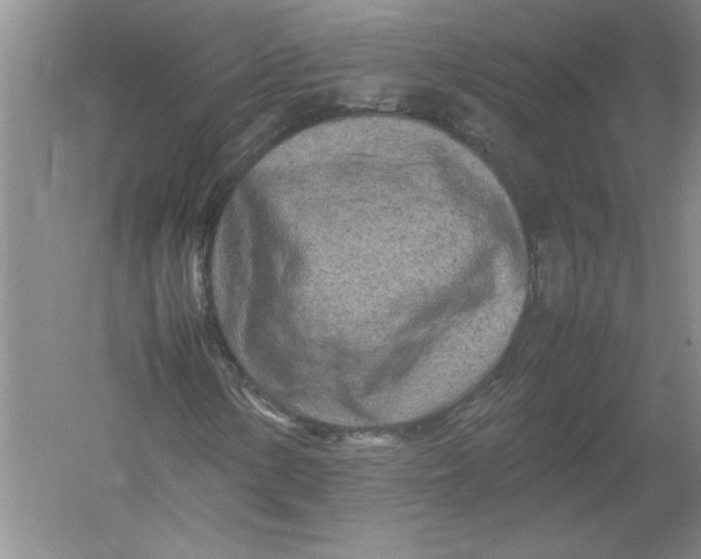 X0000054391154200508191931