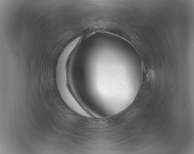 X0000054391156200508191931
