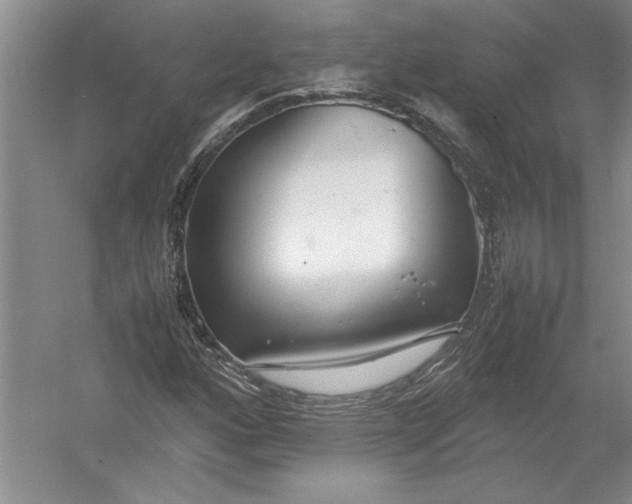 X0000054391160200508191931