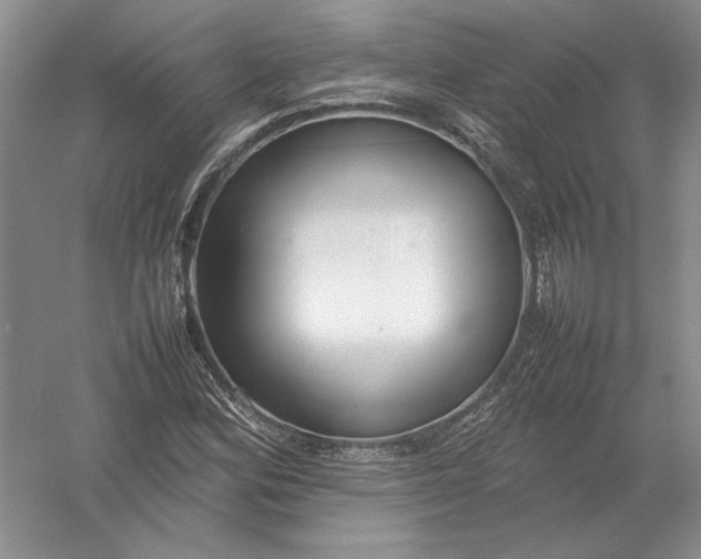 X0000054391164200508191931