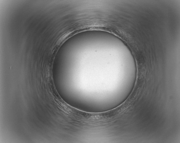 X0000054391169200508191931