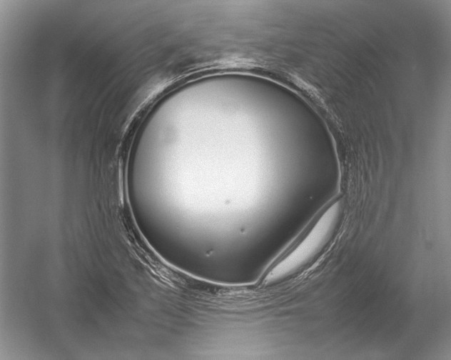 X0000054391171200508191931