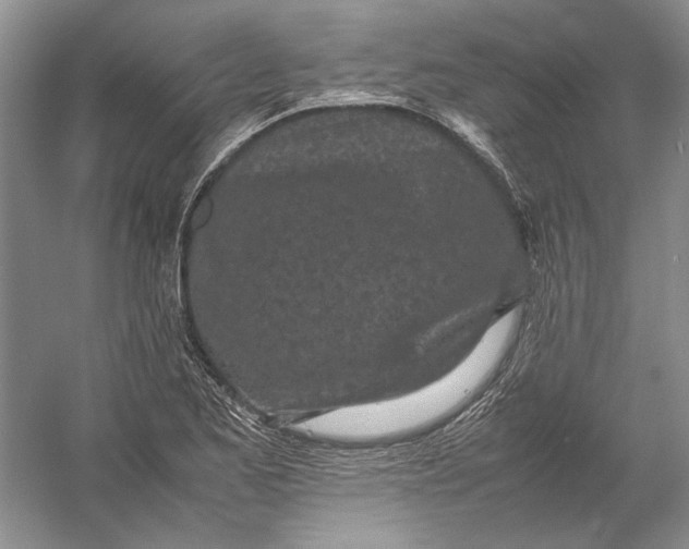 X0000054391173200508191931