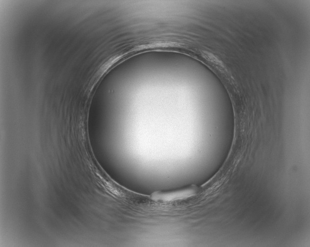 X0000054391177200508191931