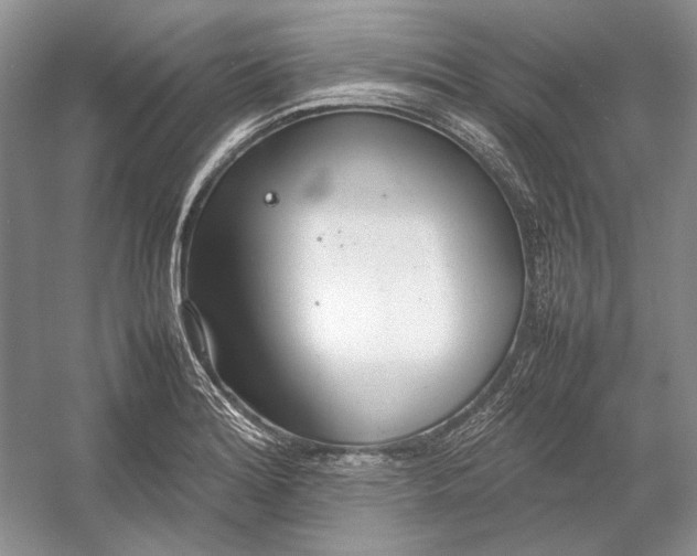X0000054391180200508191931
