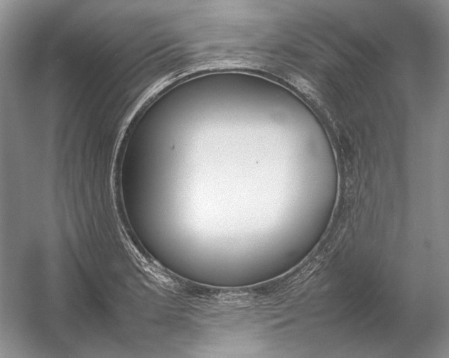 X0000054391181200508191931