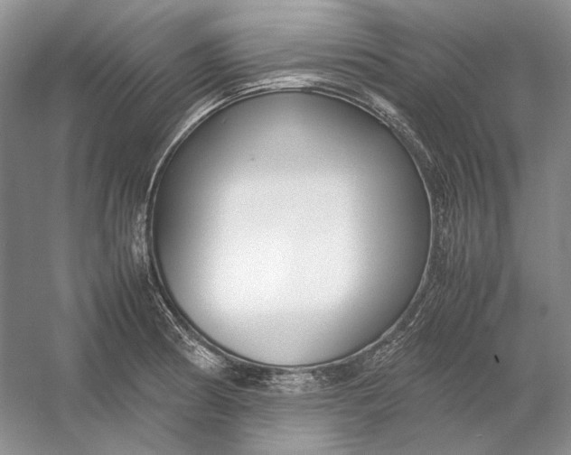X0000054391186200508191931