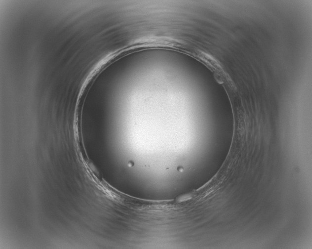 X0000054391188200508191931