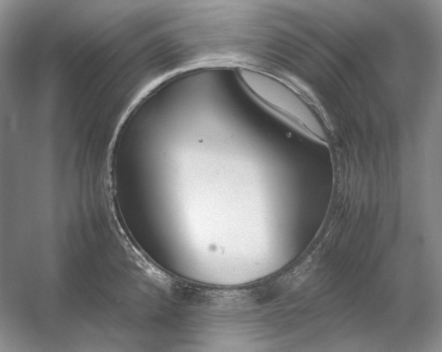 X0000054391192200508191931