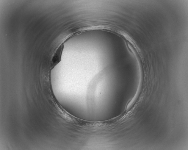 X0000054391193200508191931