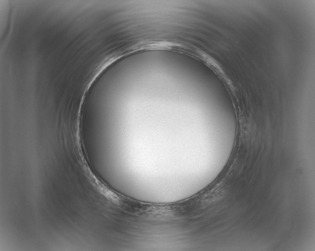 X0000054391194200508191931