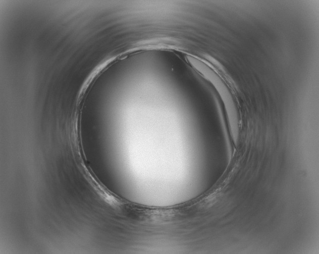 X0000054391196200508191930