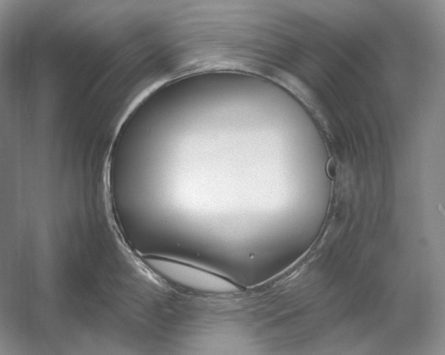 X0000054391198200508191930