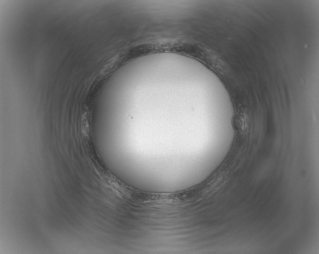 X0000054391204200508191930