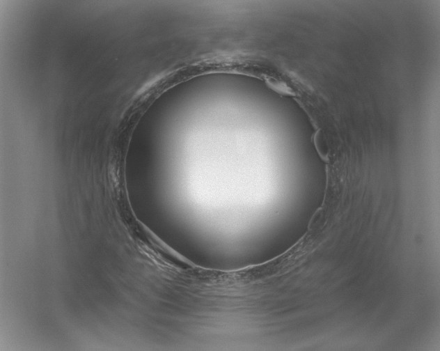 X0000054391206200508191930