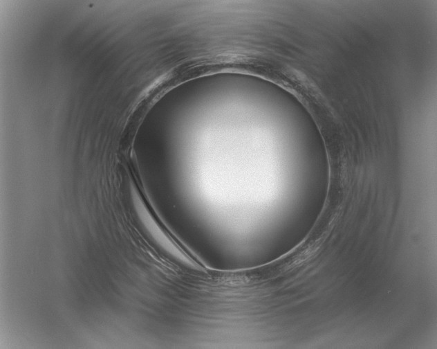 X0000054391210200508191930