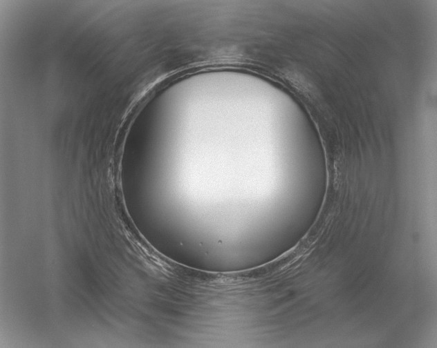 X0000054391212200508191930