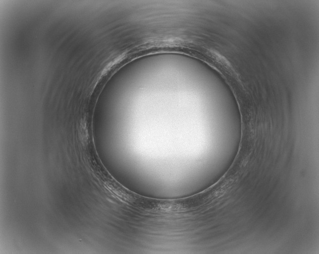 X0000054391218200508191930