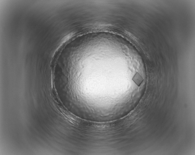 X0000054391219200508191930