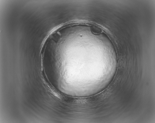 X0000054391223200508191930