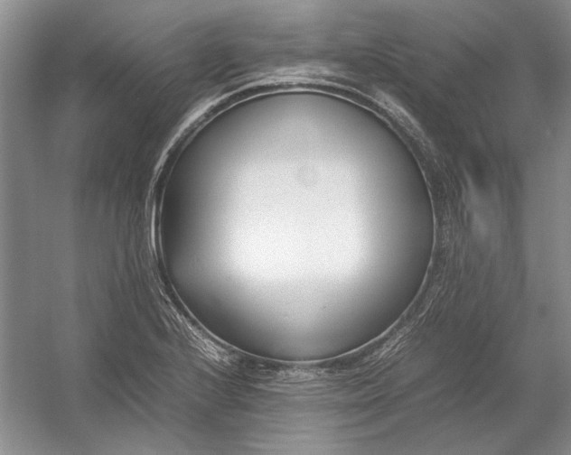 X0000054391224200508191930