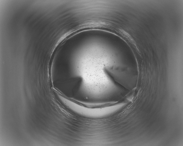 X0000054391226200508191930