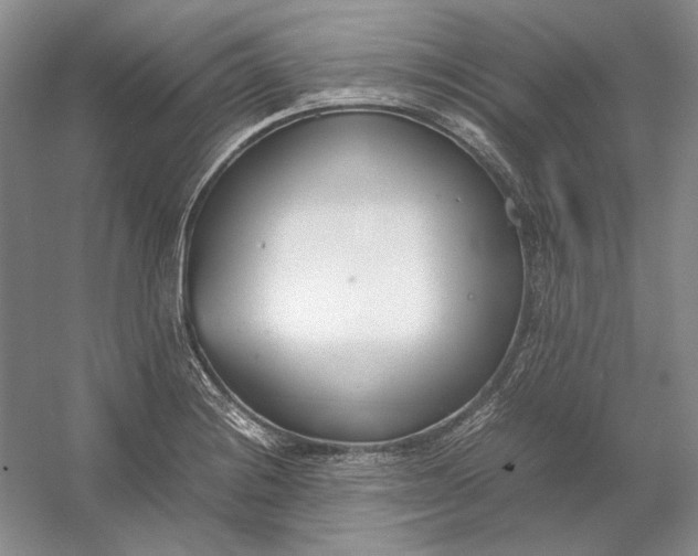 X0000054391228200508191930