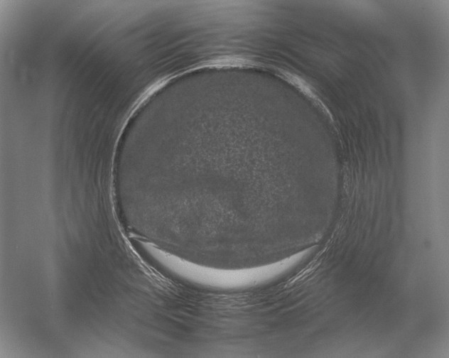X0000054391229200508191930