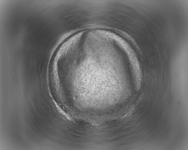 X0000054391231200508191930