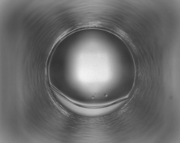 X0000054391234200508191930