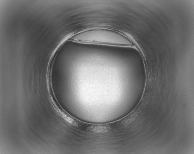 X0000054391235200508191930