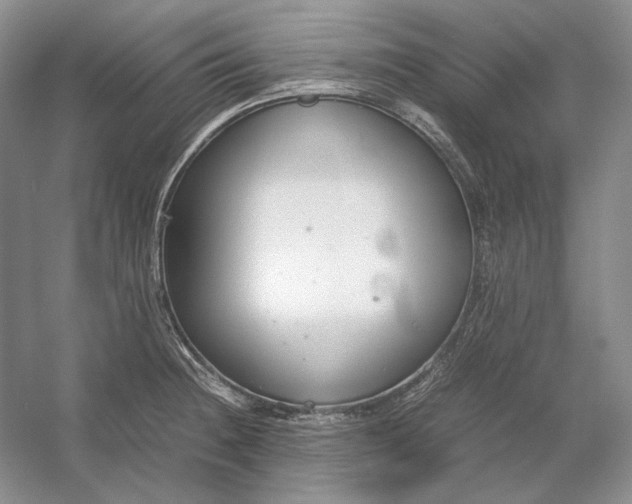 X0000054391236200508191930