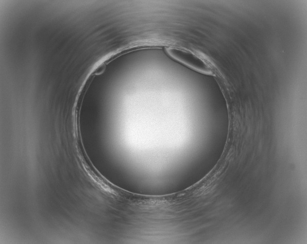 X0000054391238200508191930