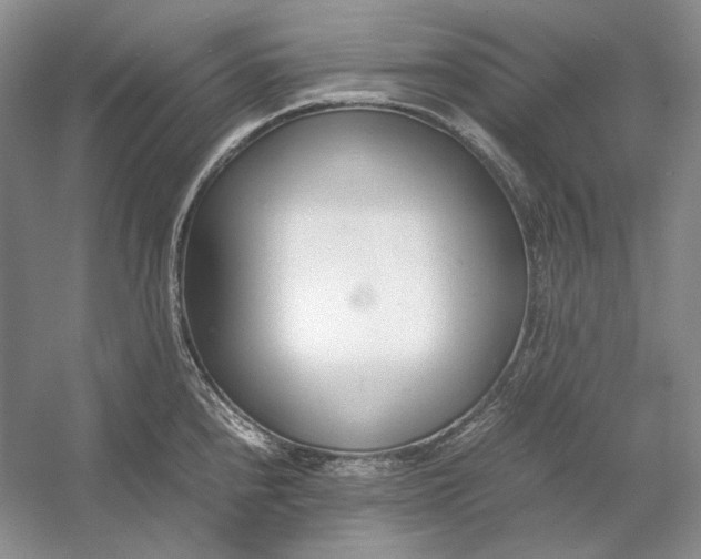 X0000054391240200508191930