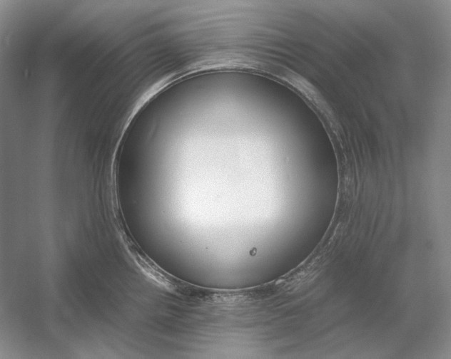 X0000054391242200508191930