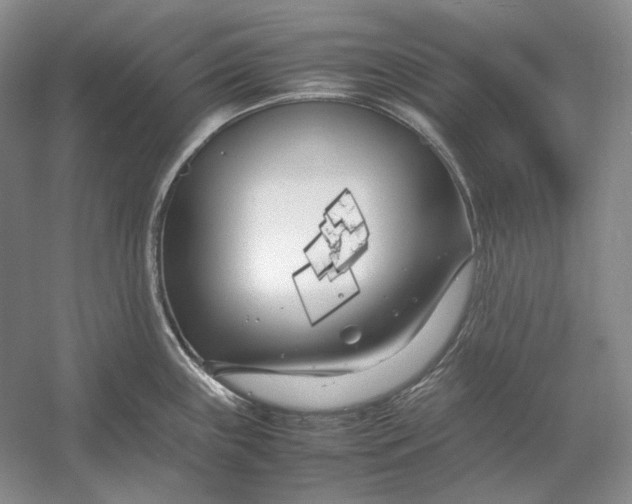 X0000054391243200508191930