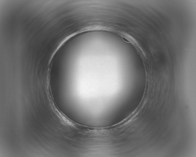 X0000054391244200508191930