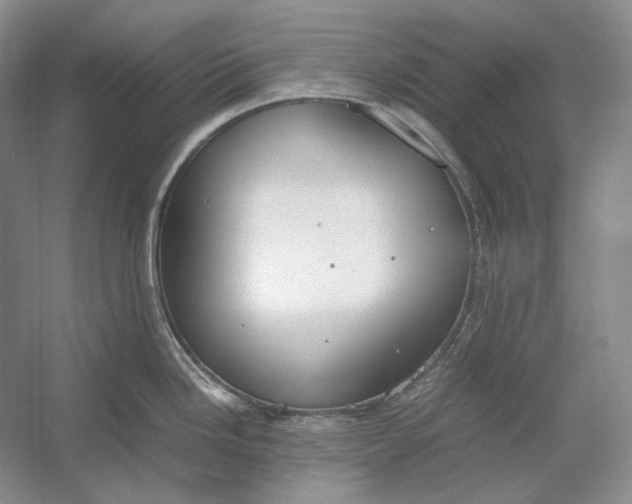 X0000054391246200508191930