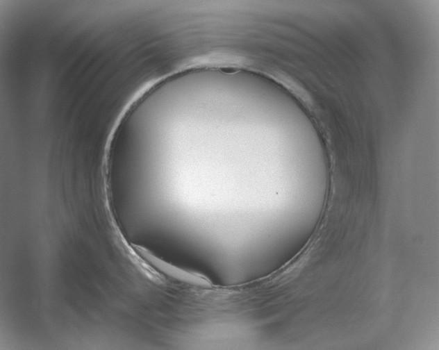 X0000054391248200508191930