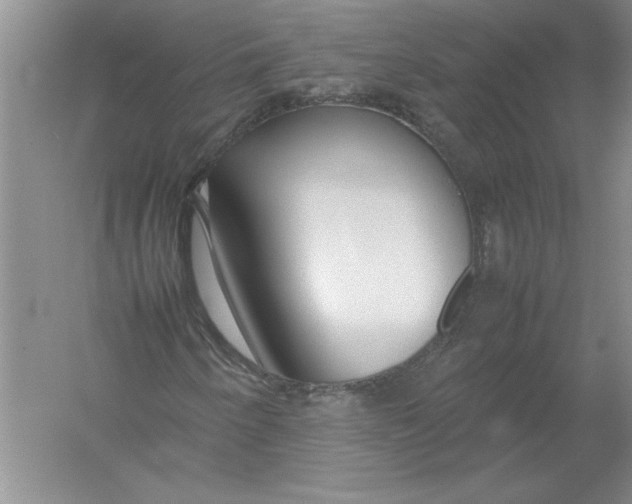 X0000054391250200508191930