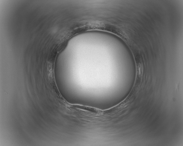X0000054391251200508191930