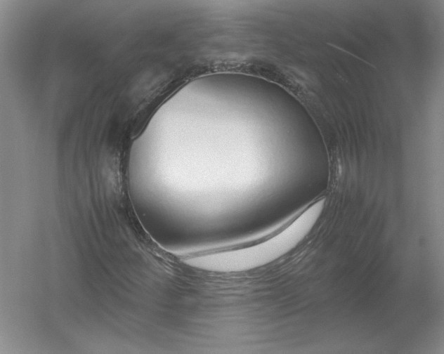X0000054391252200508191930