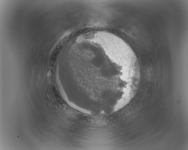 X0000054391254200508191930
