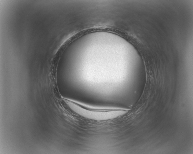 X0000054391256200508191929